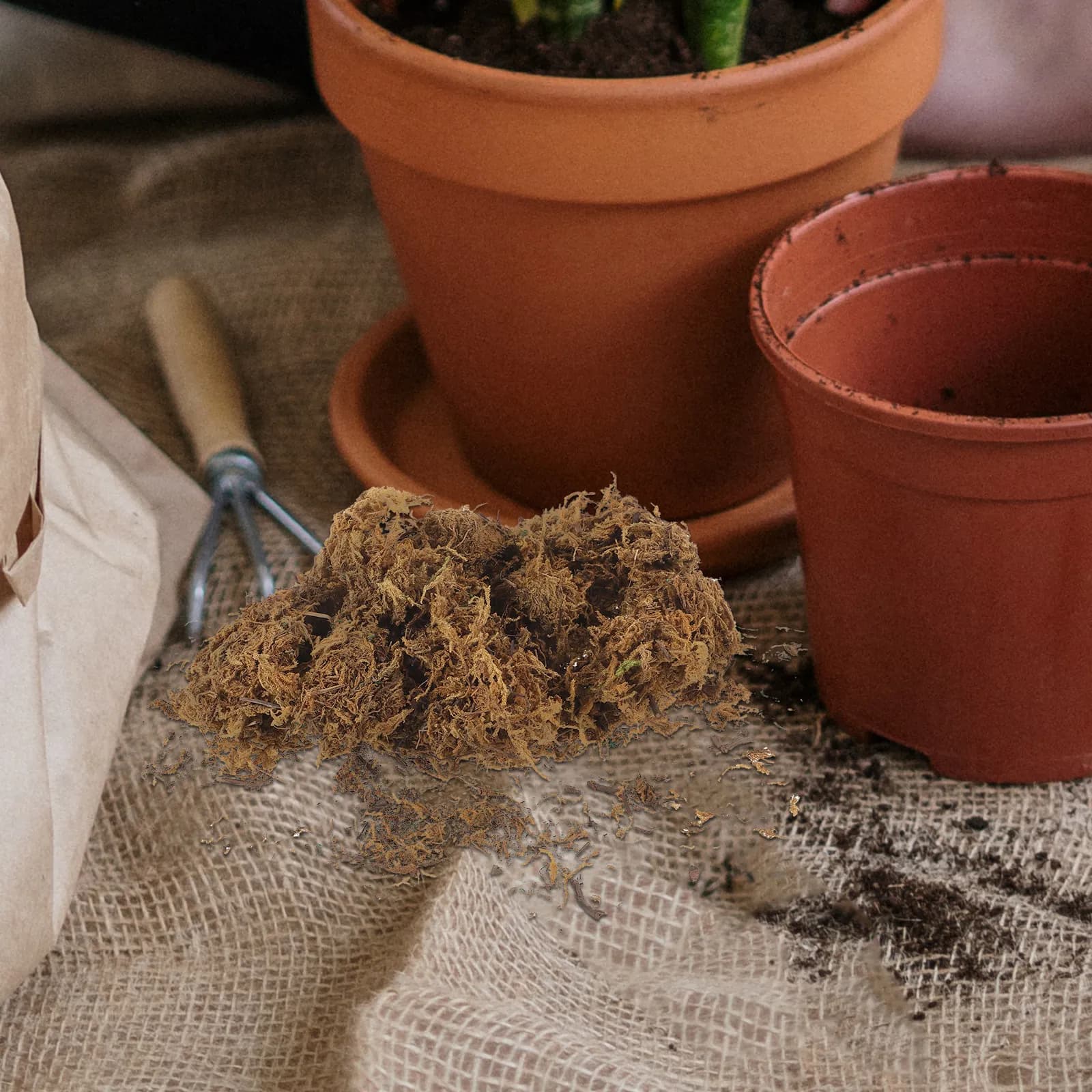 1 Confezione di Muschio Artificiale per Decorazione Piante in Vaso, Paesaggistica, Fai da Te, Artigianato, Decorazione Parete Casa e Giardino, Ornamento in Finto Muschio dall'Aspetto Naturale
