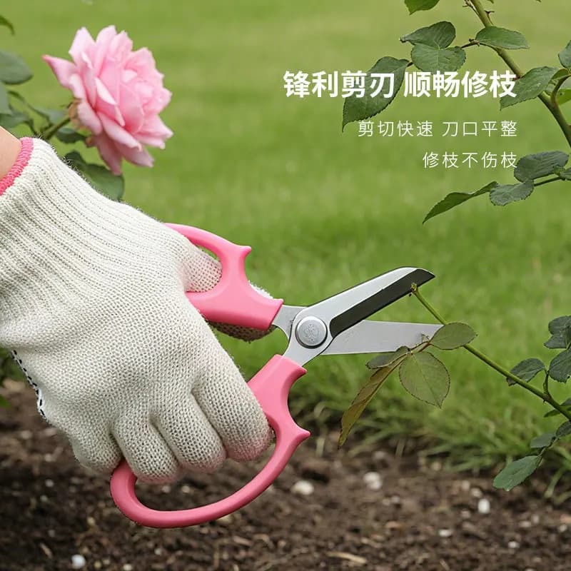 Stainless steel pruning shears for flowers, horticulture, potted plants, pruning shears for flowers, garden tools