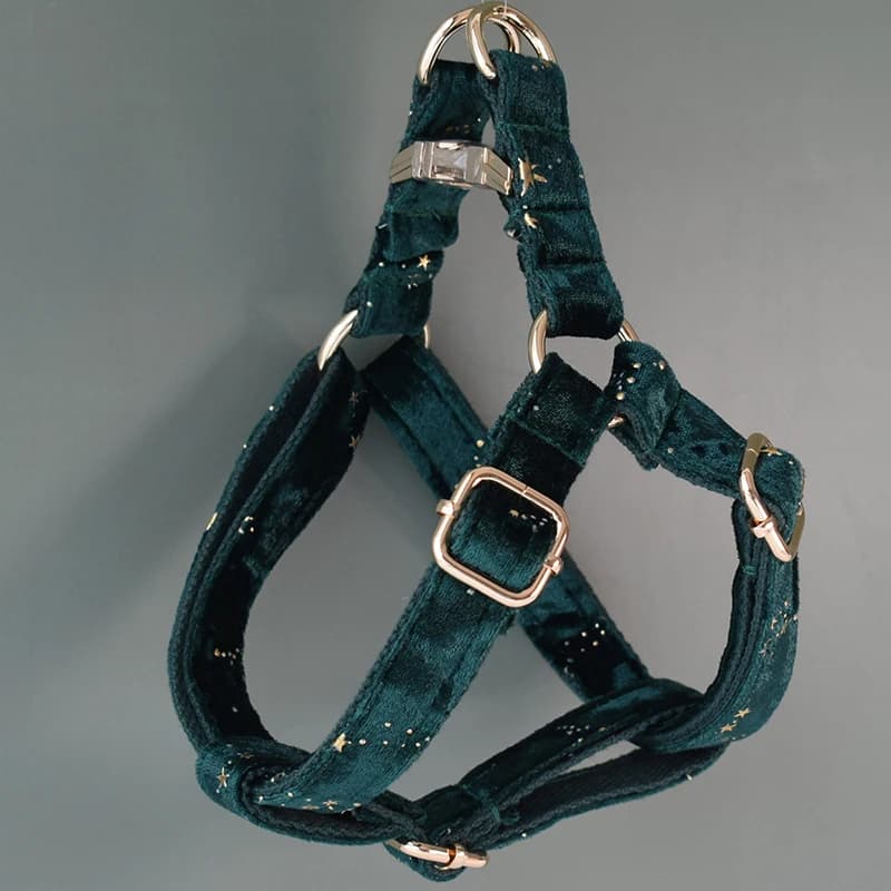 Collari identificativi per cani personalizzati Green Harnes LOGO inciso gratuito per cani di taglia piccola, media e grande American Cocker Spaniel Star 04