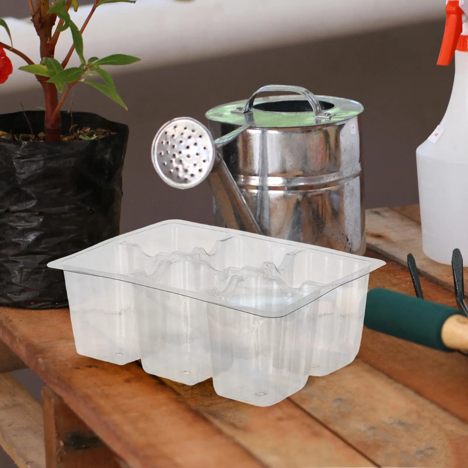 30Pcs Clear Plastic Seed Starting Trays 6-Cell Nursery Tray with Drain Holes for Vegetable Flower Fruit Seeds Indoor Plant