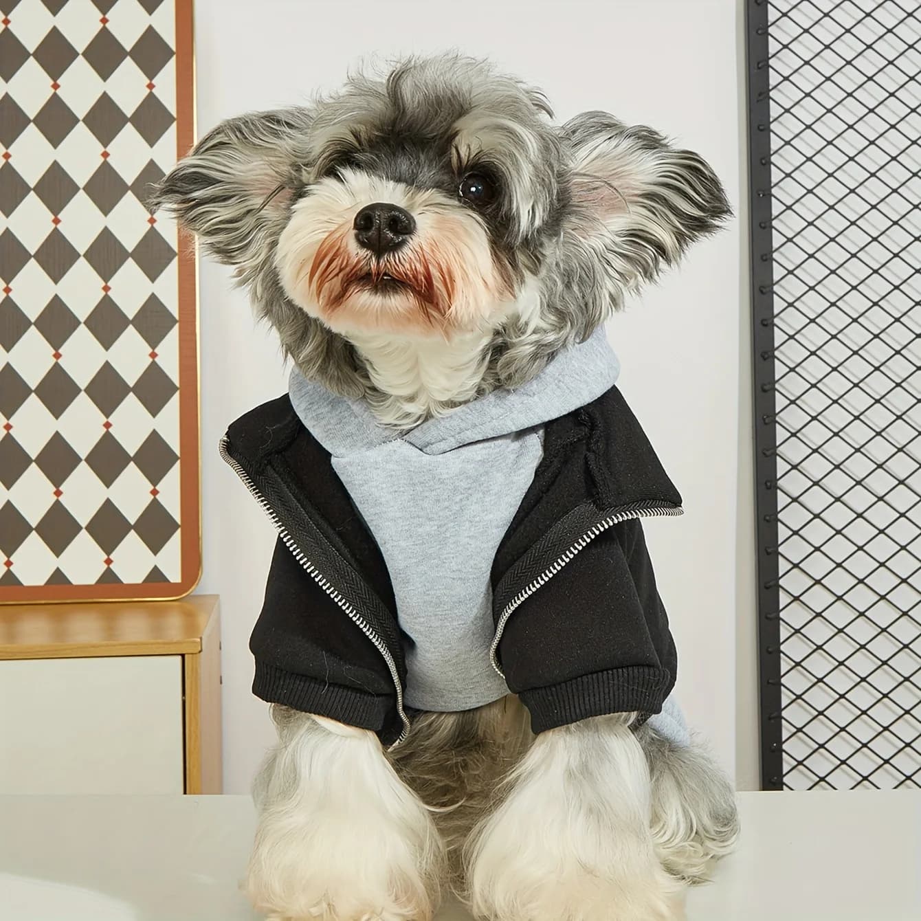 Vestiti invernali per cani Felpe con cappuccio calde per animali domestici Cappotto comodo per cani alla moda per cani di piccola taglia media