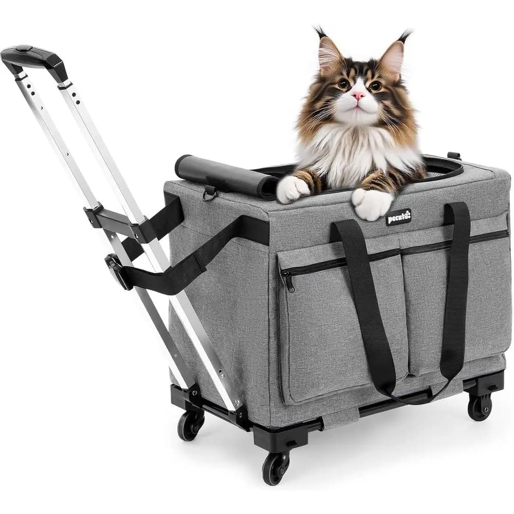 Trasportino per gatti con ruote, trasportino per gatti con struttura in filo d'acciaio, borsa trolley stabile per gatti, borsa per animali domestici e borsa per passeggino, ca portatile