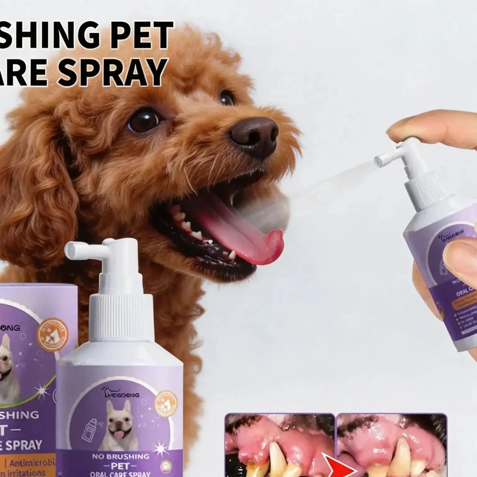 Spray orale per animali domestici 50ml – Rinfresca l'alito, elimina l'alito cattivo e previene il calcare dentale, per Teddy/Bichon/Shiba/Corgi/Golden/Labrador