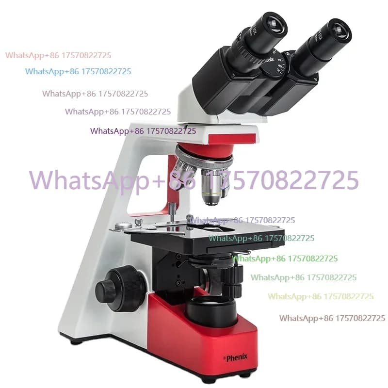 Microscopio binoculare Phenix 40X-1600X, modello Novel, per studenti delle scuole primarie, per laboratorio.
