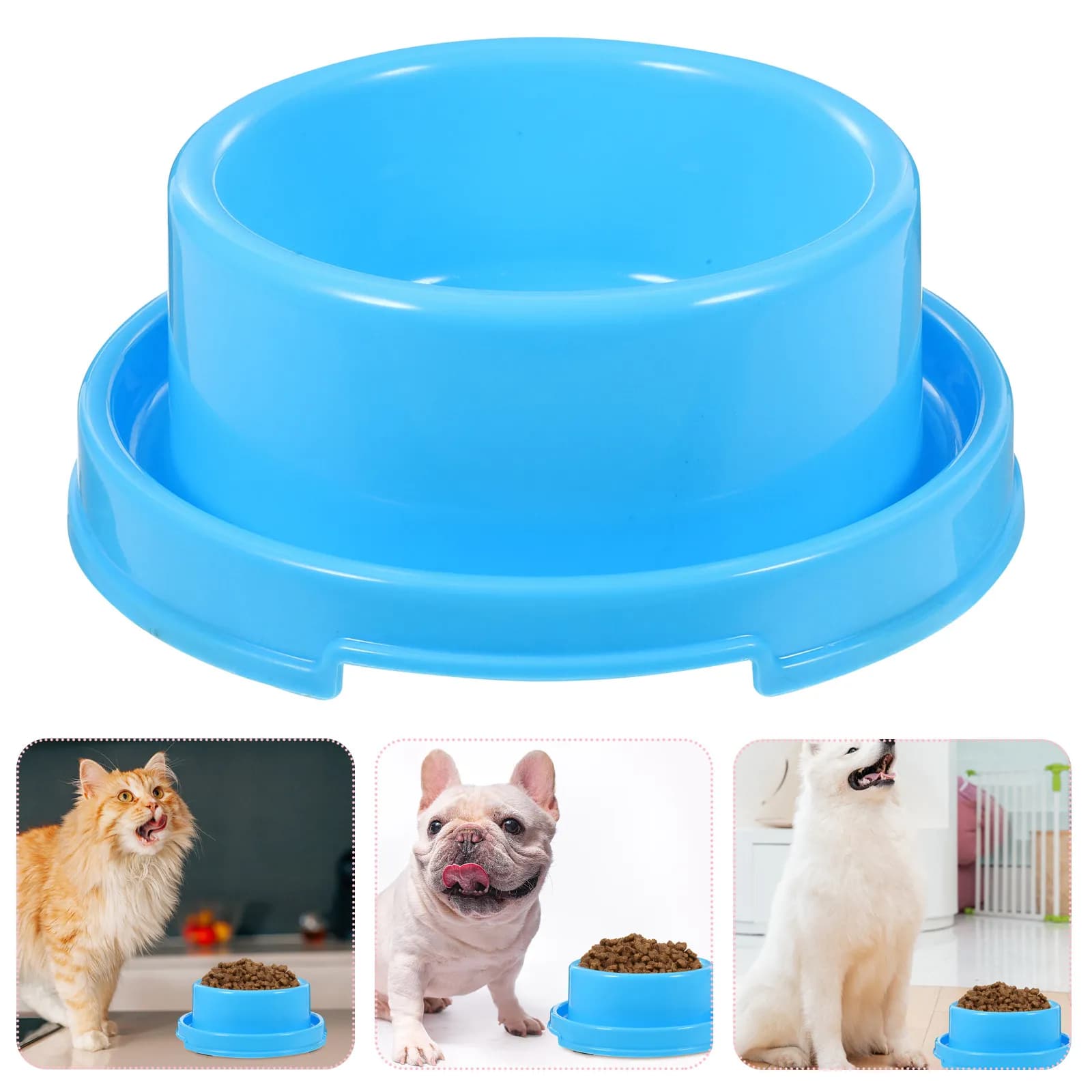 Ciotola per Animali Domestici Anti-Formica Blu in Plastica Spessa, Piatto per Alimentazione Cani e Gatti, Adatto per Piccoli Animali, Aumenta l'Appetito