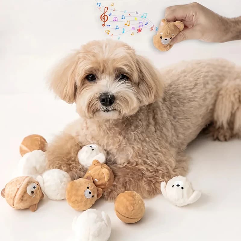 Giocattolo con palla per cuccioli stridulo - Masticazione rimbalzante con punte per la pulizia dei denti, giocattolo interattivo per animali domestici per cani e gatti di piccola taglia (Poodle/Bichon)