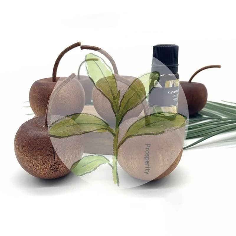 # Set Diffusore di Oli Essenziali in Legno a Forma di Mela, Decorazione con Bastoncini per Aromaterapia, Diffusore di Fragranze in Legno di Sapele Adatto per la Casa B