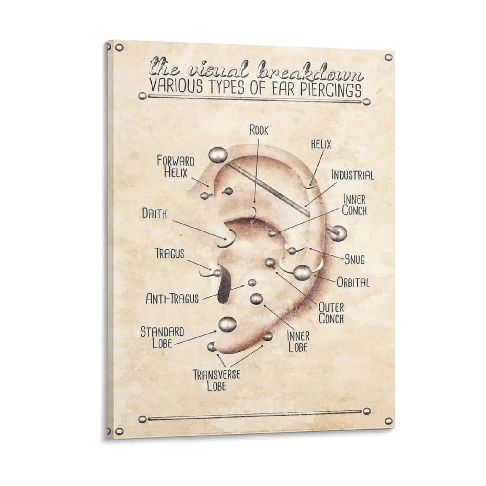 Ear Piercing Infographic Chart Black And Blue Canvas Painting Plaques Wall Vintage Pub Framed Wall Painting