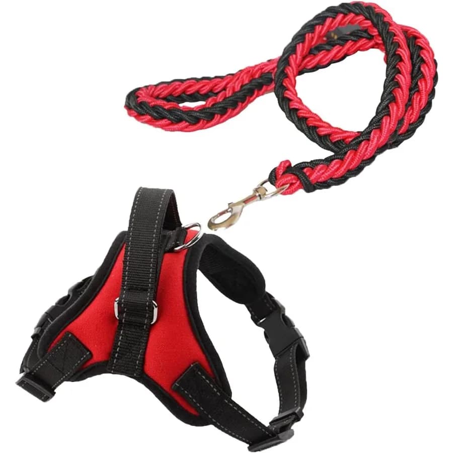 Pettorina per cani medio-piccolo senza tirare e set di guinzagli Pettorina per cuccioli regolabile morbida e traspirante con guinzaglio per cani 130 per passeggiate all'aperto T