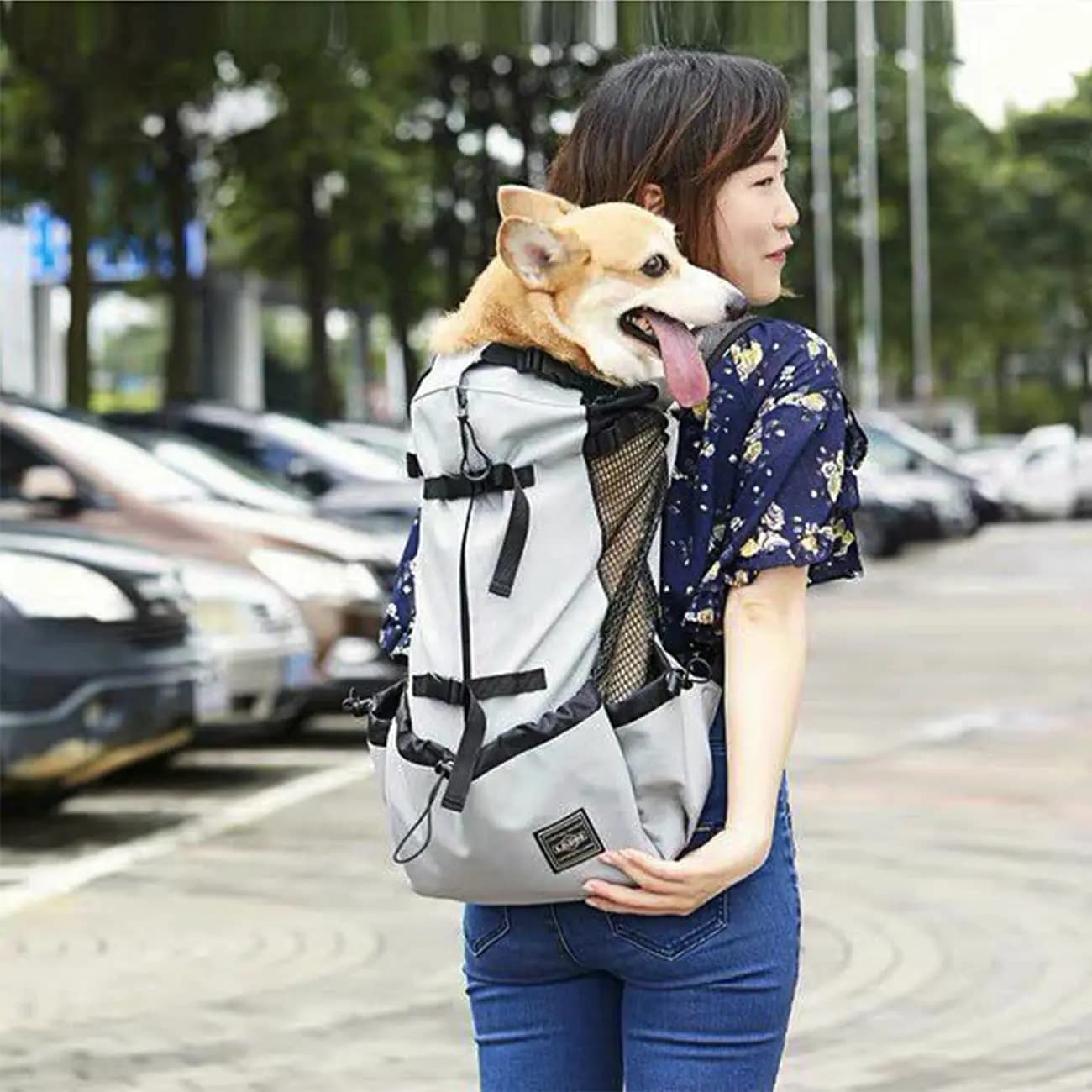 Head Out Pet Dog Carrier Backpack, Multi Pockets Design Dog Travel Backpack, Adjustable Chest Strap Pet Backpack for Hiking