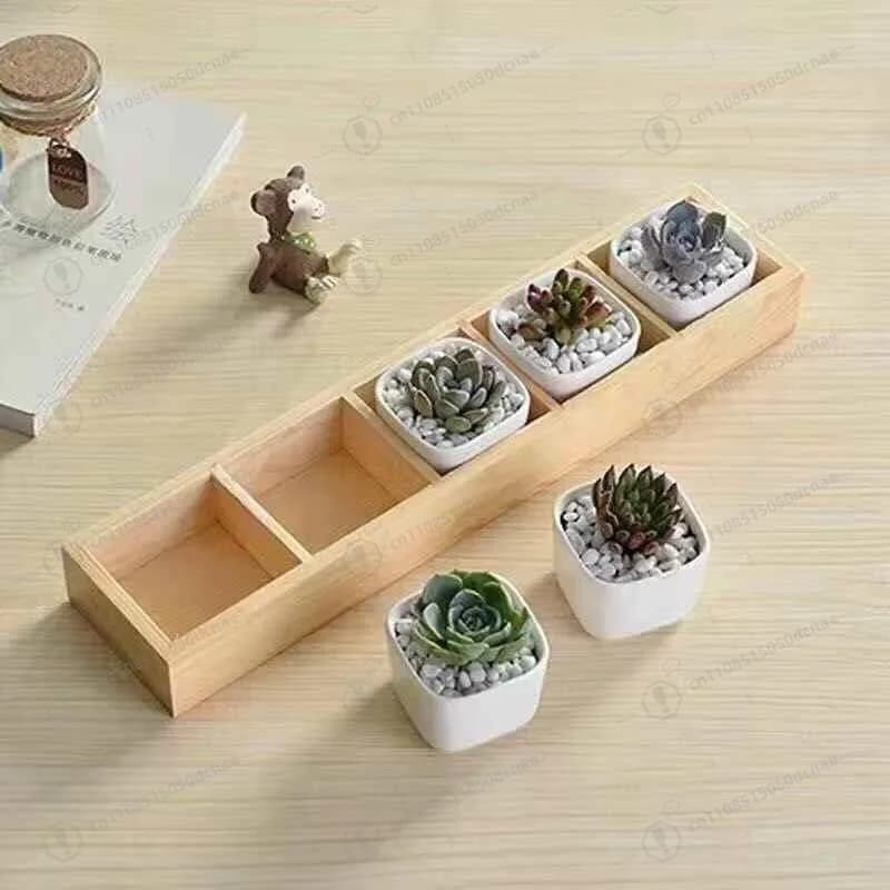 Cosmetici da tavolo in legno succulente Lina in legno, multi-griglia intera 46570, scatola regalo di frutta secca in legno.