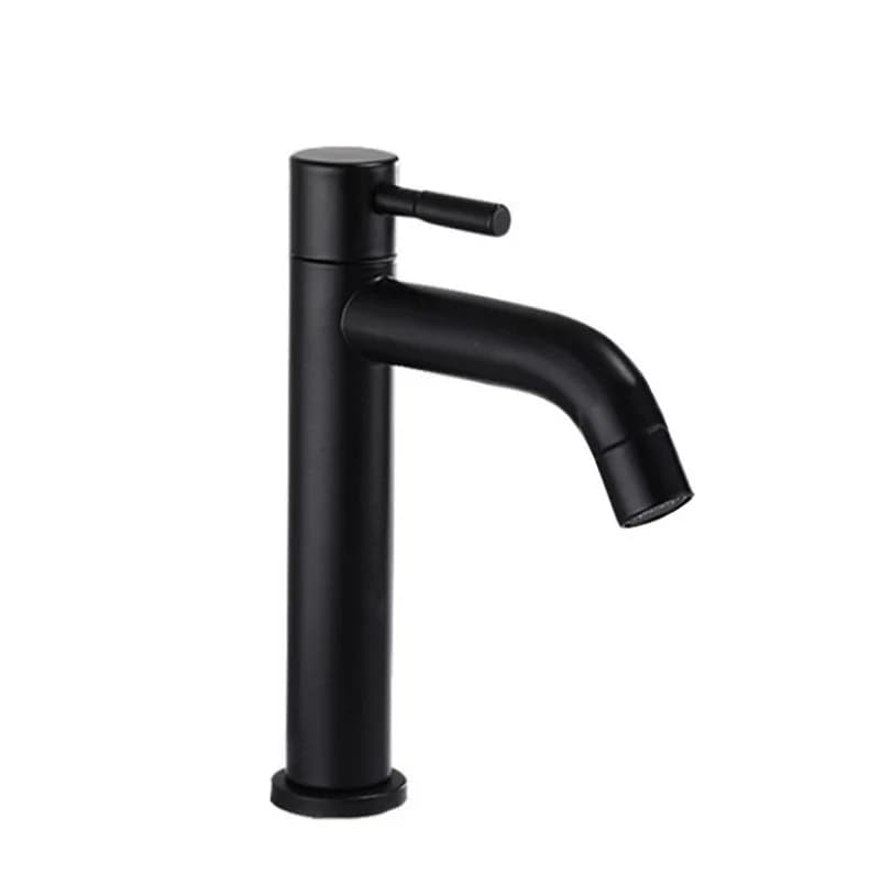 Rubinetto per Bagno in Acciaio Inossidabile, Miscelatore Monocomando Acqua Fredda, Montaggio su Piano, Anti-Schizzi, per Lavabo, WC, Lavello, Balcone