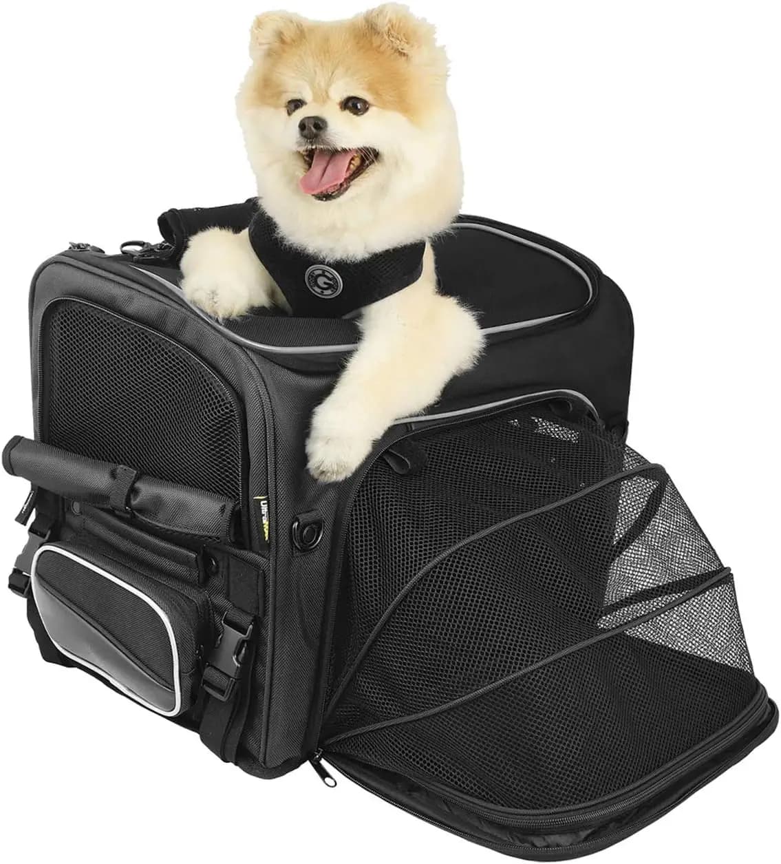 Trasportino per animali Route 1 Rover: trasportino/cancio per animali da moto resistente agli agenti atmosferici, portatile e sicuro; Per Harley Davidson, indiano