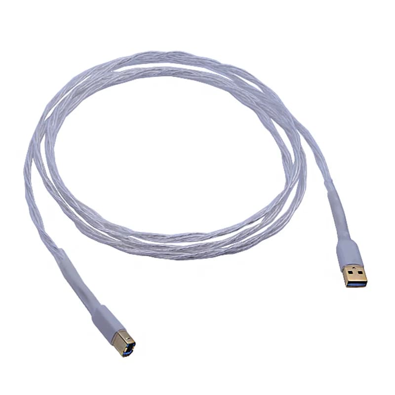 Cavo USB HIFI 8N singolo cristallo rame placcato argento linea Audio HiFi cavi digitali da tipo A A B placcati argento