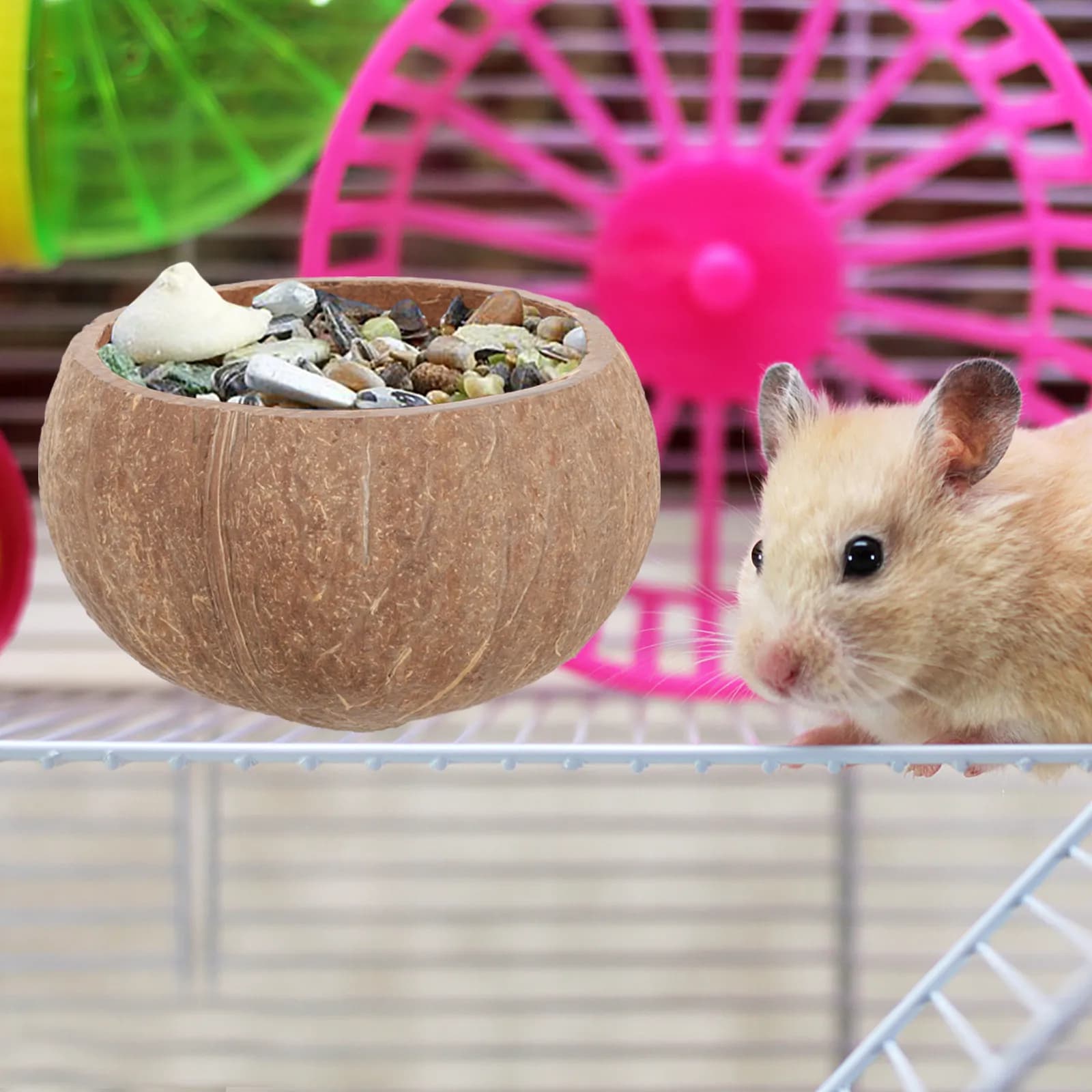 Ciotola per Alimenti per Animali Domestici in Materiale Sicuro, Contenitore per l'Alimentazione di Piccoli Animali da Gabbia: Coniglio, Criceto, Porcellino d'India, Scoiattolo, Pappagallo, Pappagallo Volante