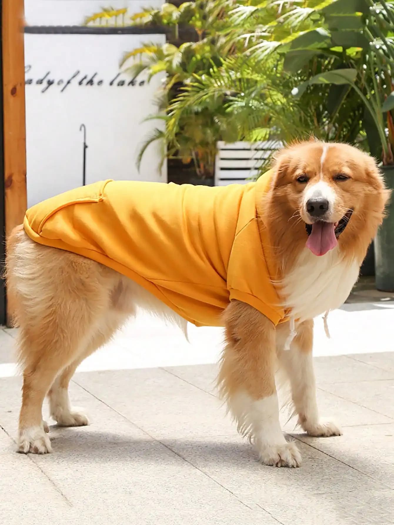 Felpa con Cappuccio Premium per Cani di Piccola, Media e Grande Taglia | Abbigliamento Caldo per Bulldog Francese, Pitbull, Cuccioli, Giacca