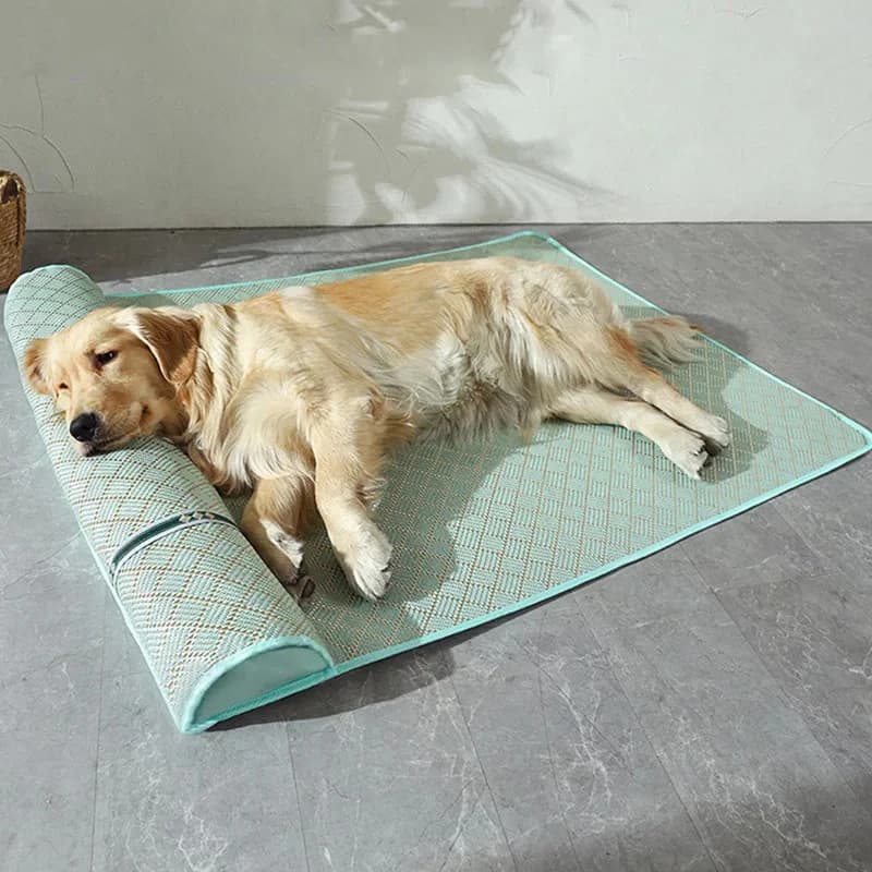 Biancheria da letto rinfrescante per cani Tappetino per animali domestici Letti per cani Piccolo letto lavabile Lie Cuscino per casa all'aperto Materasso Accessori per animali di grandi dimensioni
