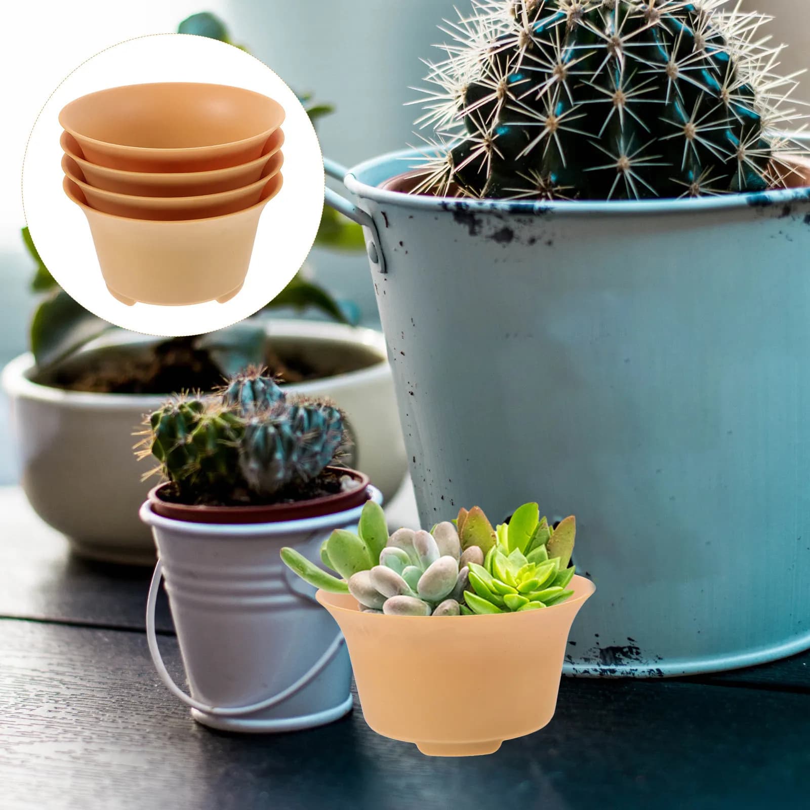 Set of 4 Pots in Resin Drilled for Succulent Plants and Cactus, Small Desk Vases, Balcony, Kitchen, Home Decoration with Drainage Forum