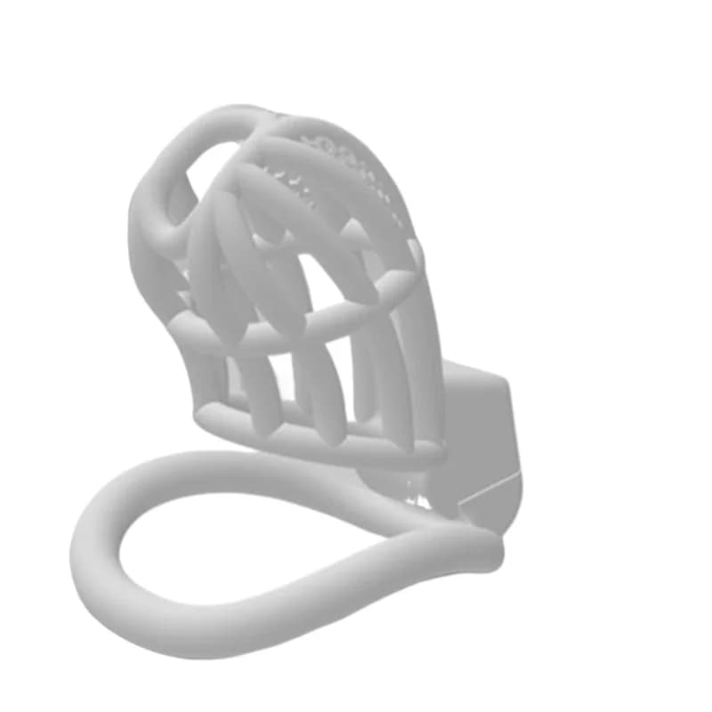Chastity Lock Cock Cage Invisible Lock with 4 Arc Ring Testicle Chastity Belt BDSM Toy Hentai Bondage SexToy Adult toys for Men