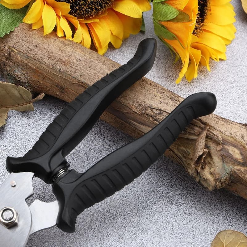 Multifunctional fruit harvesting scissors in stainless steel Horticultural scissors Feeding of bird beak shaped branches