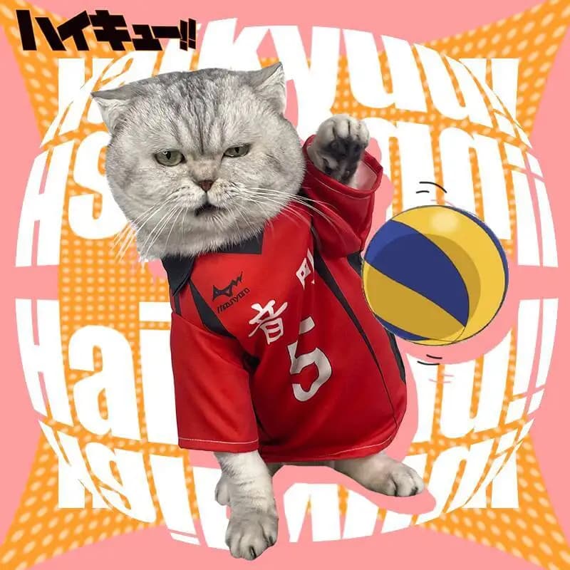 T-shirts for pets cosplay Halloween volleyball junior cat cosplay clothes bouncing re puppy Oinomachi costume for high school photo