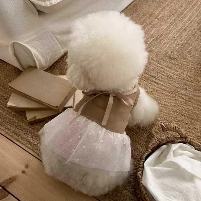 Vestito per cani stile balletto dolce, grazioso vestito per cani con fiocco, gonna in tulle a pois per cuccioli, gilet casual per gatti, vestiti tutu per animali domestici, abiti per Bichon