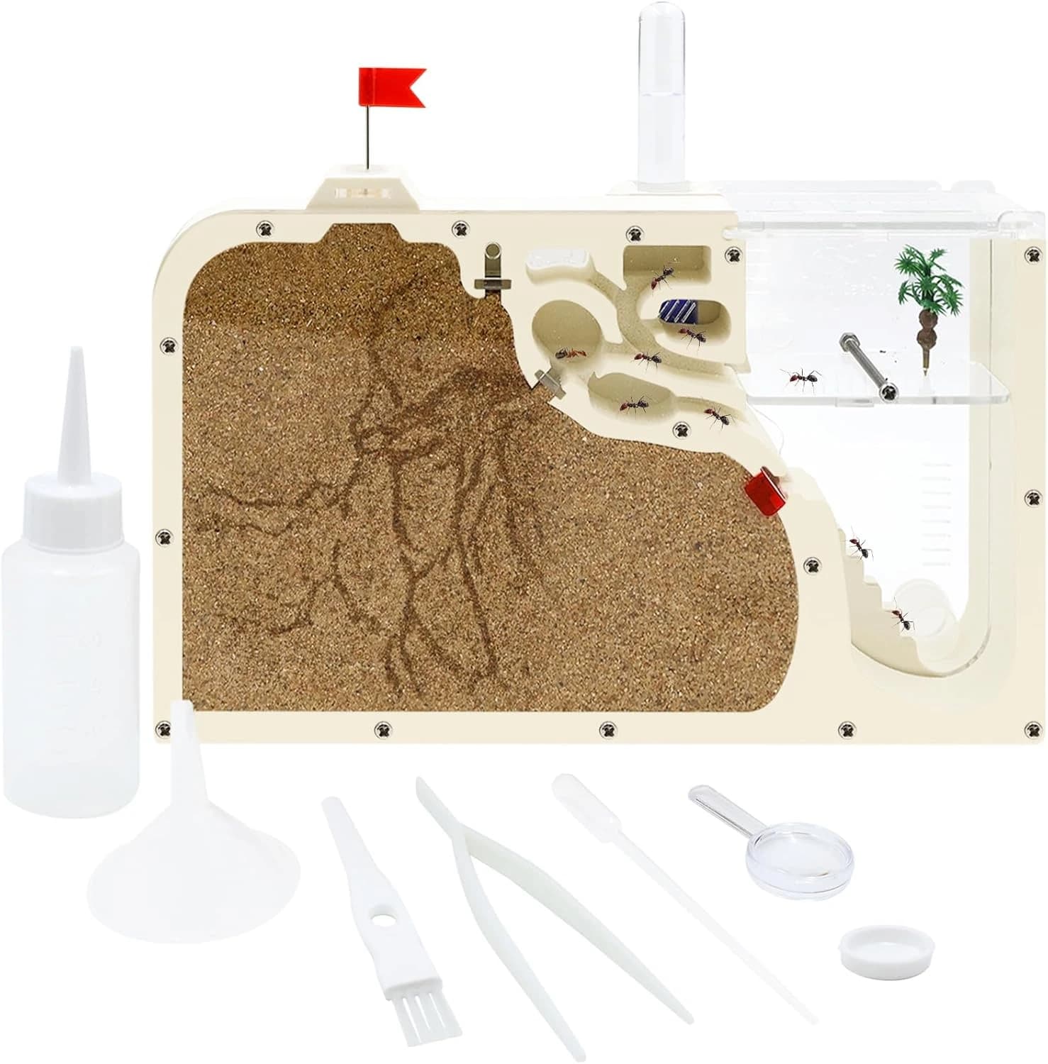 Castello della formica: Habitat in acrilico trasparente fai da te per formiche vive - Kit completo di attrezzi | Giocattolo educativo per l'osservazione della colonia delle formiche