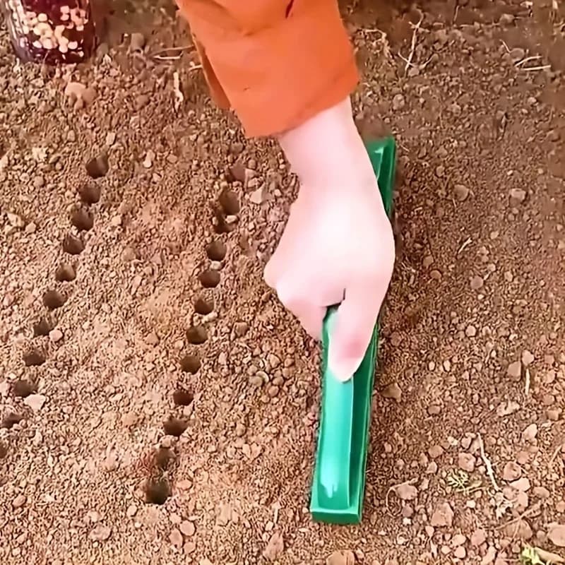 Seminatrice a 12 Fori e Tool per la Semina, Stampo per Piantare in Giardino con Puntatore per Fori, Dicavatore Efficiente per la Terreno per la Semina di Ortaggi e Fiori