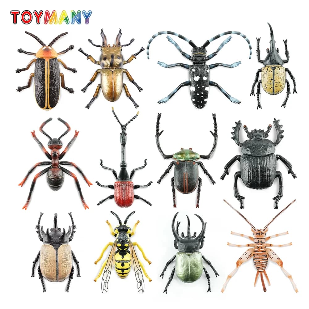 Toymany Simulazione Insetto e Scarabeo Modello Animale Giocattolo Mini Figure Bambole Action Figurine 12 pezzi Set Giocattoli Regalo per bambini Decorazione della torta