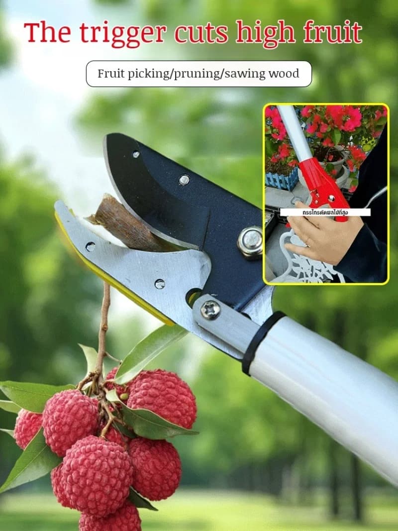 Telescopic Fruit Picker High Branch Tree Pruning Shears for Pomegranate and Lychee Picking