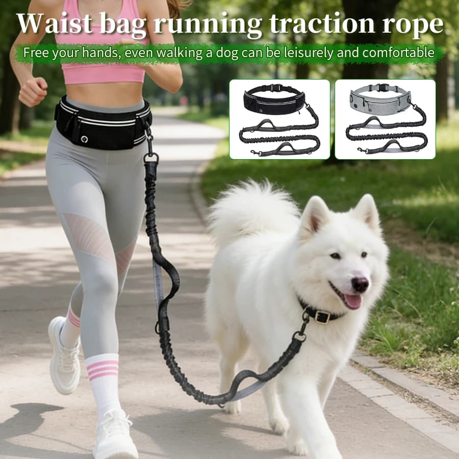 Cintura per Passeggiare con il Cane a Mani Libere con Tasche, Guinzaglio Riflettente Ammortizzante, Pettorina Regolabile Pieghevole per Cani da Corsa e Jogging