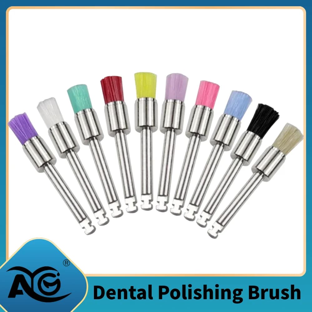 AG 10pz/Scatola Spazzole Monouso per Lucidatura Dentale con Setole in Nylon, Strumenti per Dentisti, Spazzole per Sbiancamento Denti