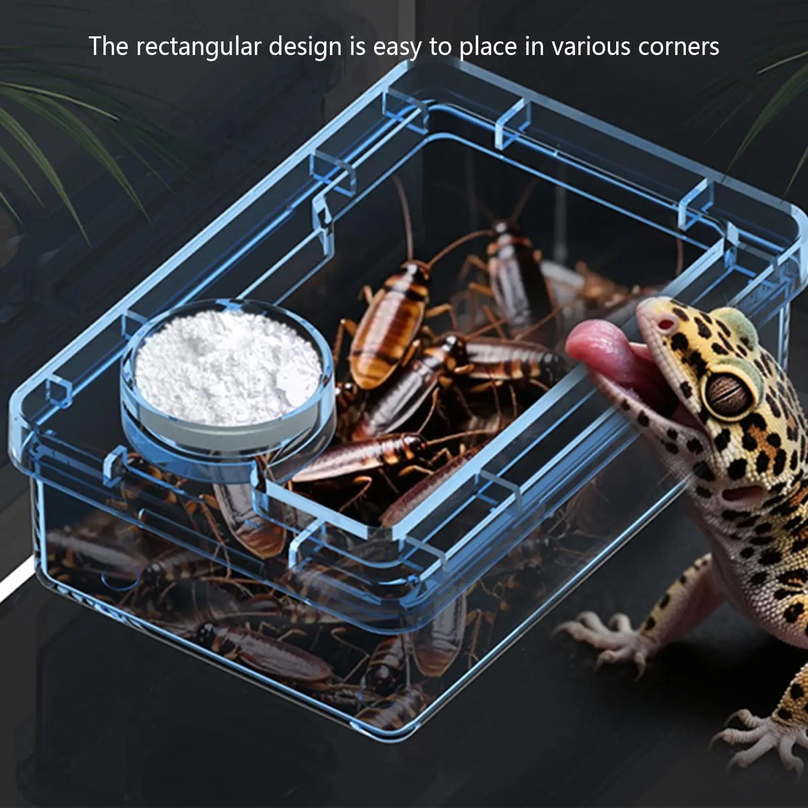 Pet Reptile Lizard Turtle Transparent Feeder Anti-escape Food Bowl Worm Live Container Reptile Pet Bowls Feeder Pet Supplies