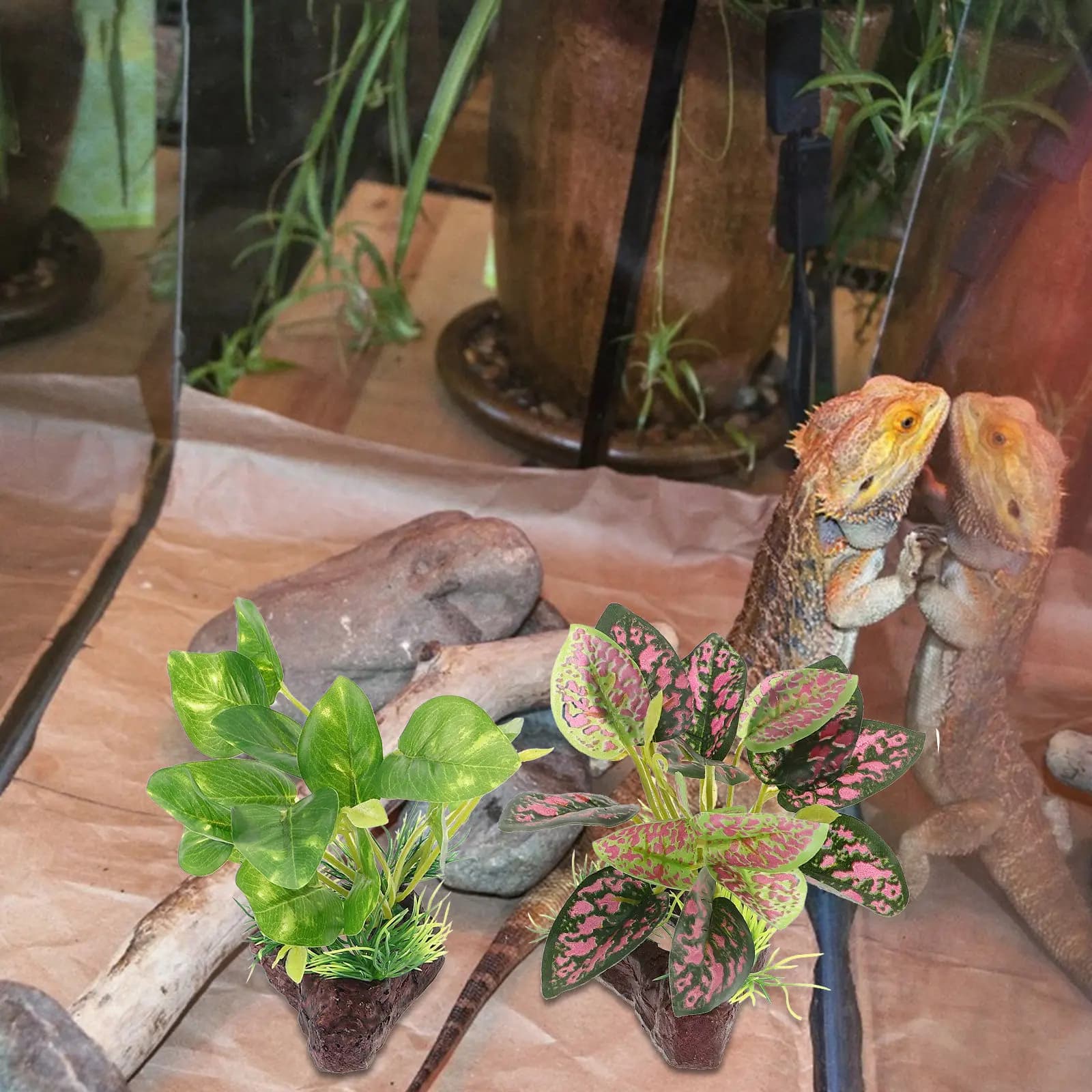 2 Pezzi Piante Artificiali per Rettili, Erba in Seta Realistica, Decorazione per Terrario, Accessori per Acquario, Simulazione Paesaggistica per Vasche dei Pesci