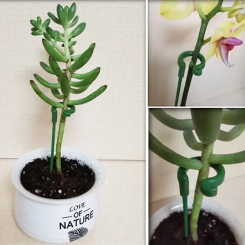 10 Pezzi Attrezzi da Giardinaggio, Supporto Anti-Caduta per Piante in Vaso, Asta di Sostegno a Forma di Telaio, Struttura Riutilizzabile per Piante, Strumento di Fissaggio per Bonsai