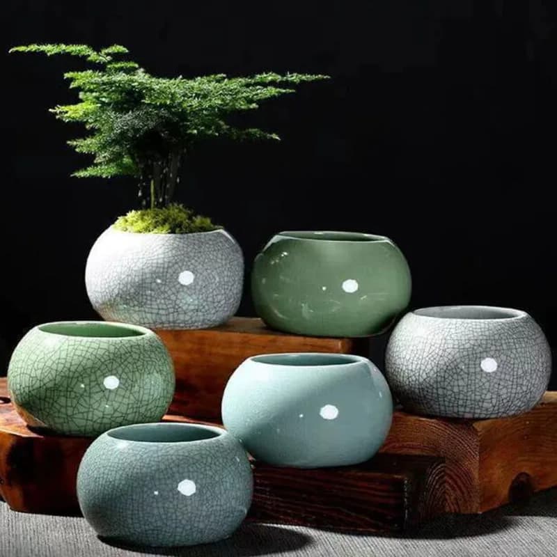 Creative handmade Geyao Ice Crack Round Plant Fat Plant Asparagus Fiuma Orchidea Flower Jar Small Jar Home Garden Decoration