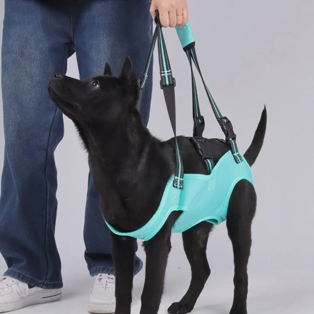 Imbracatura di Sollevamento per Cani con Cinghia Regolabile, Maniglia Rinforzata, Trasportino Portatile, Fodera Morbida, Supporto per Zampe, Gilet di Sollevamento per Anziani