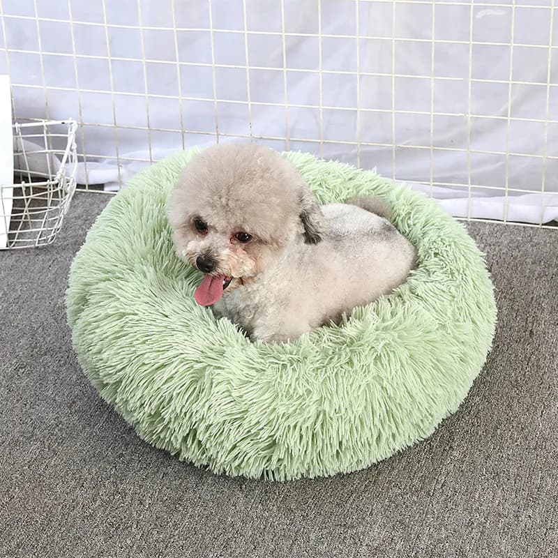 Cuccia per Cani e Gatti Calda e Confortevole, Tappetino Morbido ed Elegante per Animali Domestici, Nido Quotidiano Lavabile in Lavatrice, Cuccia Rotonda in Peluche Lungo