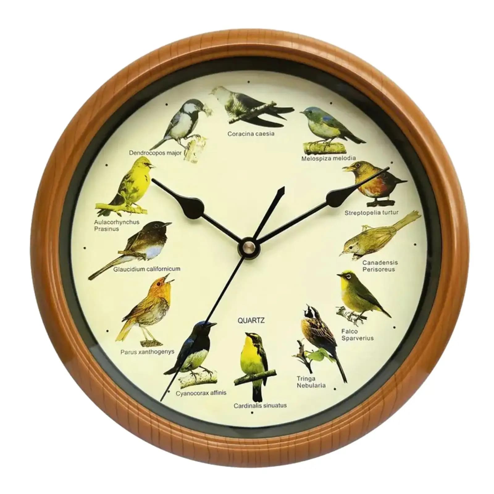 Orologio da parete per uccelli Ornamenti Orologio per uccelli minimalista con suono Orologio da parete decorativo per camera da letto Cucina Soggiorno Ufficio Casa