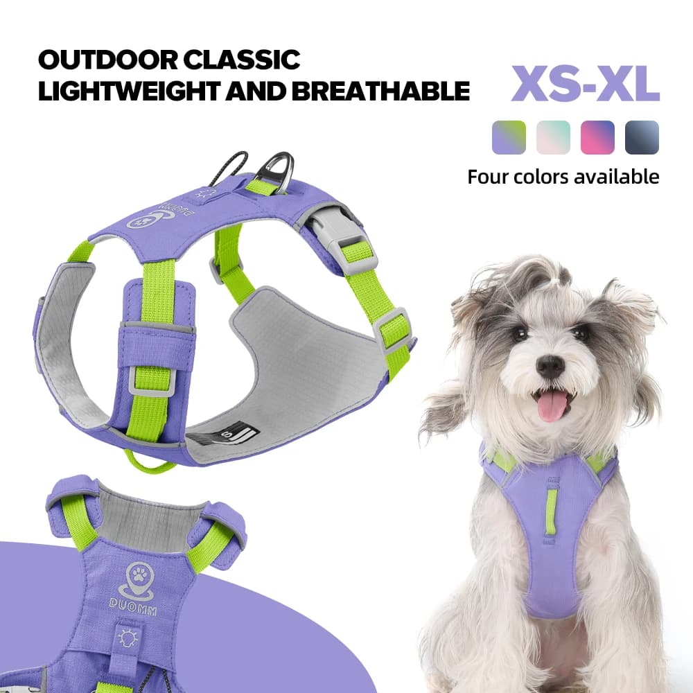 Lightweight Dog Harness Designer Style - Reflective Stripes Escape Proof Breathable Mesh for Small Dogs Outdoor Walking