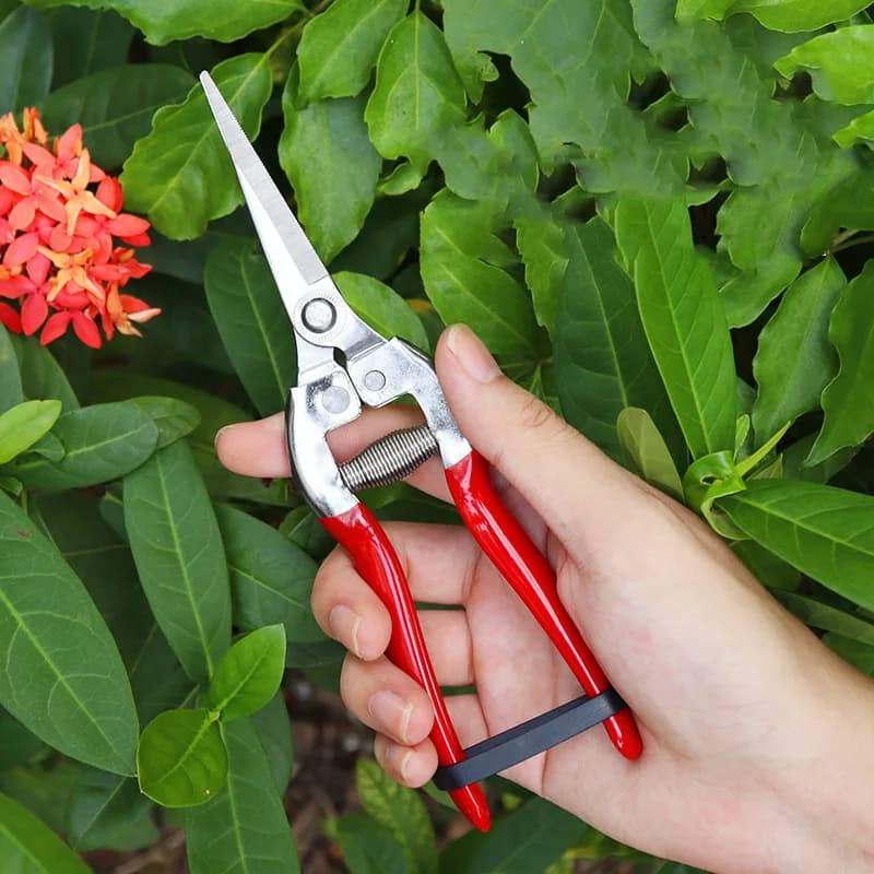 21 inch high carbon steel pruning shears – Straight head, sharp blade, plastic handle | Ideal for garden and home use
