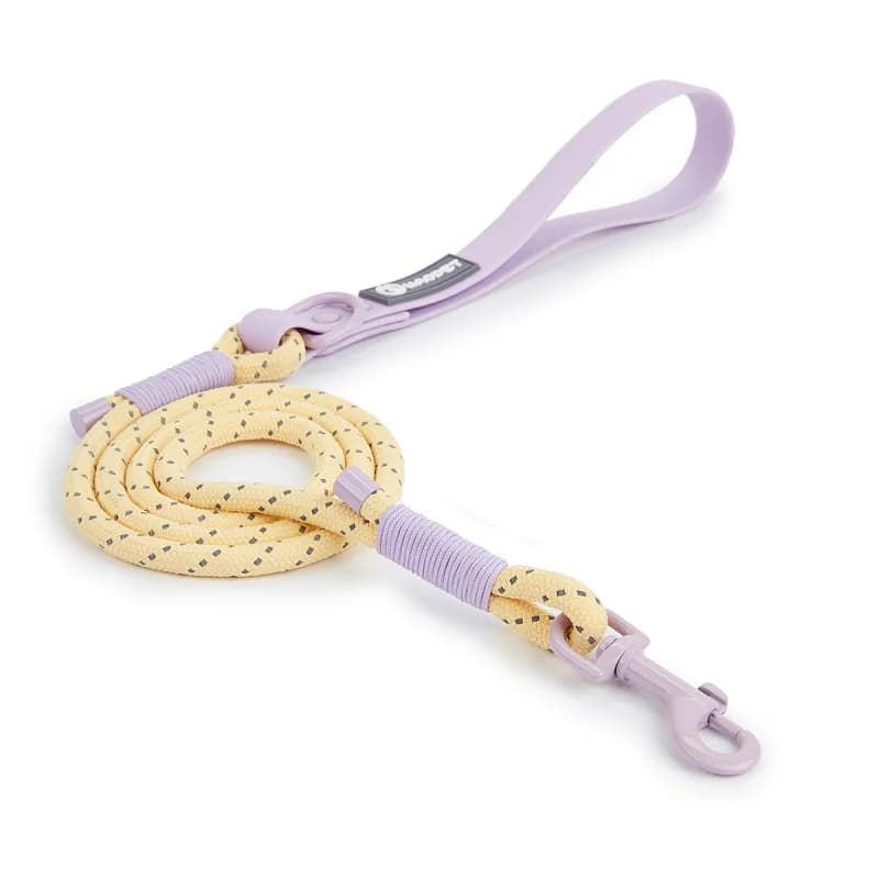 Nuovo guinzaglio per cani alla moda in tinta unita, guinzaglio per cani da esterno in PVC, guinzaglio per animali domestici disponibile in magazzino