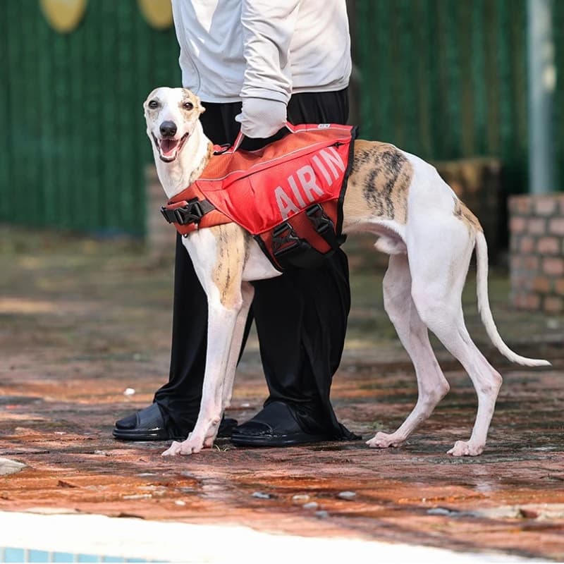 Giubbotto di salvataggio per cani con airbag, giubbotto regolabile per animali domestici per il nuoto, tessuto Oxford, strisce riflettenti, S/M/L, Rosso / Verde / Blu