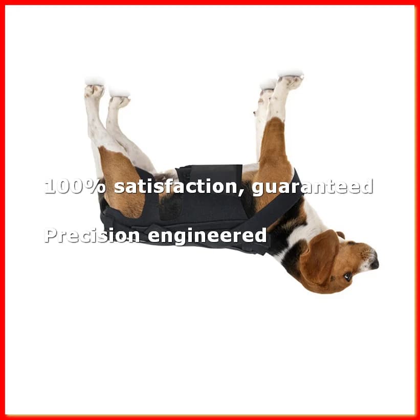 Dog Back Brace for IVDD,Pet Dog Back Brace Comfortable Full Body Harness Dog Clothing Dog Back Protector M-A79M