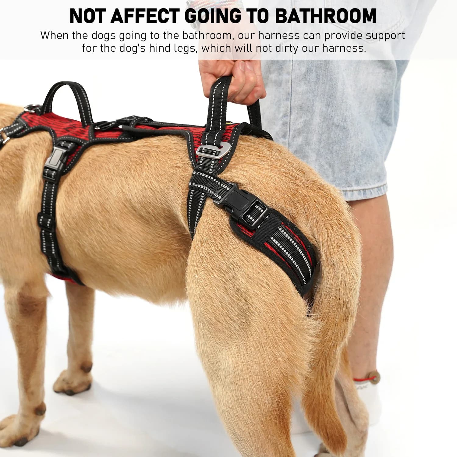 COODEO Mobility Dog Lift Harness, Support Sling & Walking Sling for Dogs, Pet Rear Leg Rehabilitation Support Vest, Dog Carrier