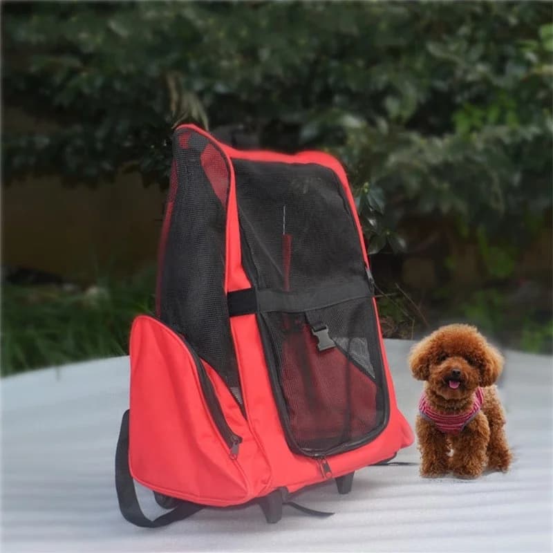 Rolling backpack travel pet cat and dog carrier