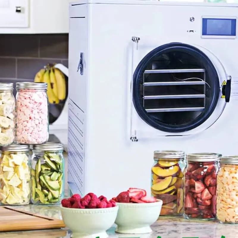 Per uso domestico 6Kg 8Kg Alimenti Mini Liofilizzatore domestico essiccato sotto vuoto Liofilizzatore Essiccazione della frutta