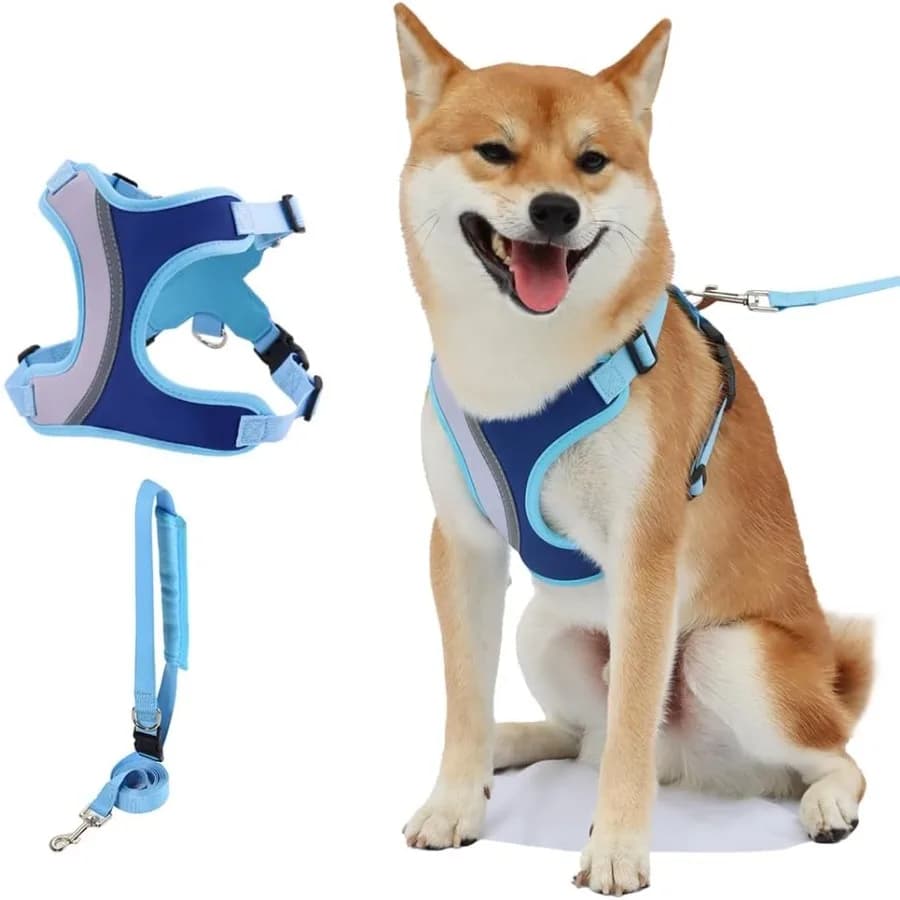Pettorina per cani senza tirare con guinzaglio Set per tutte le stagioni in rete regolabile con giunture alla moda Imbracatura per gilet a prova di fuga per piccoli e