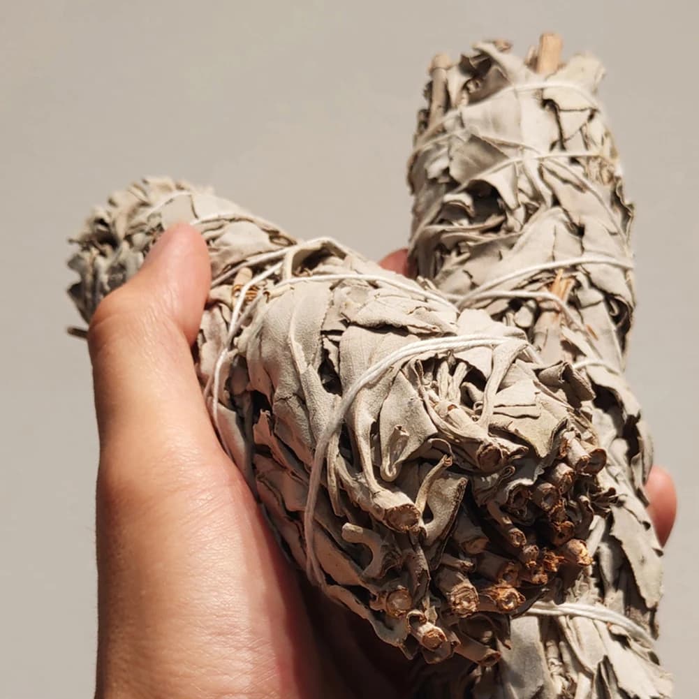 Bastoncini di Salvia Bianca Naturale da 4 Pollici, Bastoncini di Incenso di Salvia Bianca per la Purificazione della Casa