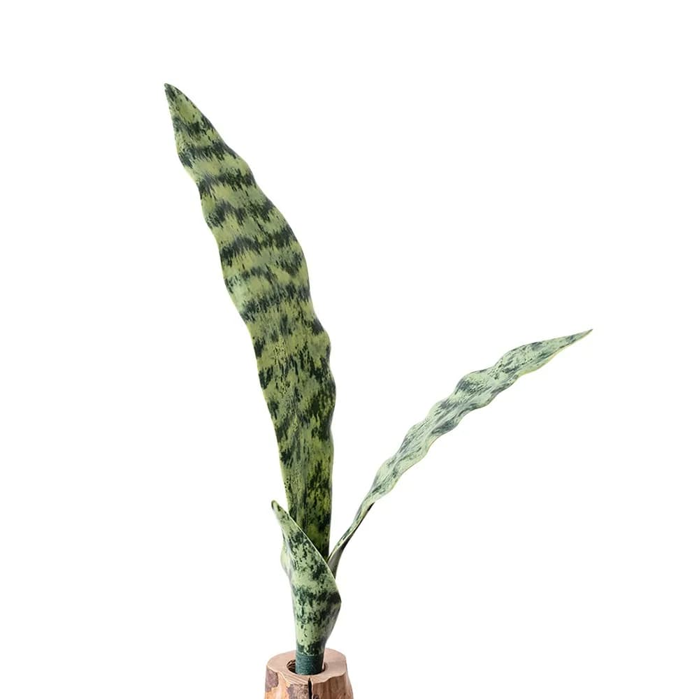 Creative Green ArtifIcial Snake Plant Photo Props Craft Simulation Grass Soft PVC Orchid Grass Floral Arrangement